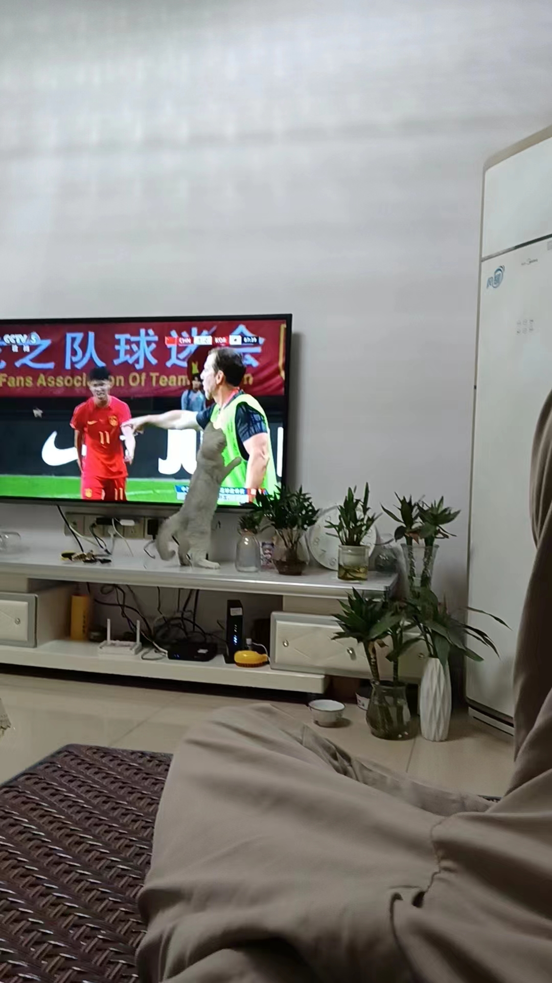 看球宝赛事直播_(看球宝比赛直播在线观看回放)  第2张