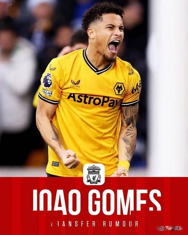 曼联有意若昂戈麦斯球员是狼队主力的简单介绍  第1张