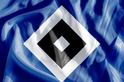 莱比锡迪克斯加盟汉堡队将代表青年队出战 第2张 莱比锡迪克斯加盟汉堡队将代表青年队出战 第2张