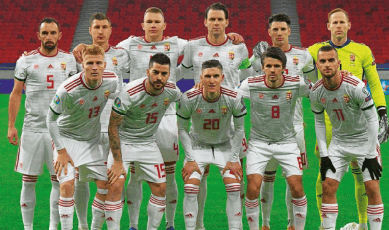 世预赛匈牙利vs爱尔兰预测分析F组积分榜形势紧张的简单介绍  第1张