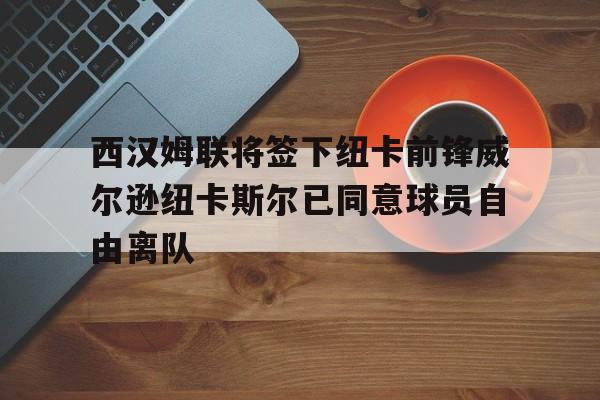 西汉姆联将签下纽卡前锋威尔逊纽卡斯尔已同意球员自由离队的简单介绍 第1张 西汉姆联将签下纽卡前锋威尔逊纽卡斯尔已同意球员自由离队的简单介绍 第1张