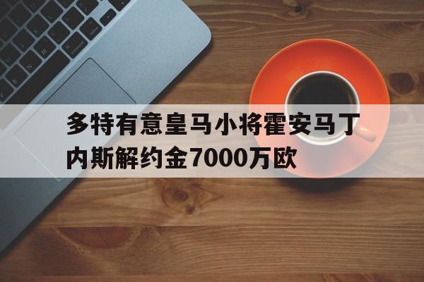 多特有意皇马小将霍安马丁内斯解约金7000万欧的简单介绍  第1张