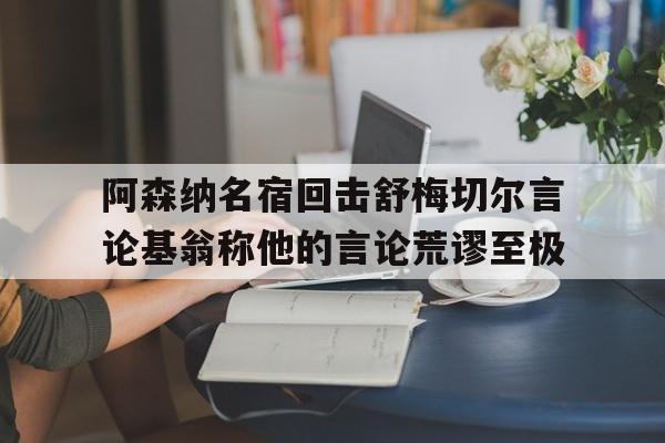 阿森纳名宿回击舒梅切尔言论基翁称他的言论荒谬至极的简单介绍  第1张