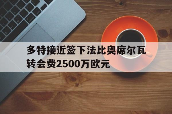 关于多特接近签下法比奥席尔瓦转会费2500万欧元的信息 第1张 关于多特接近签下法比奥席尔瓦转会费2500万欧元的信息 第1张